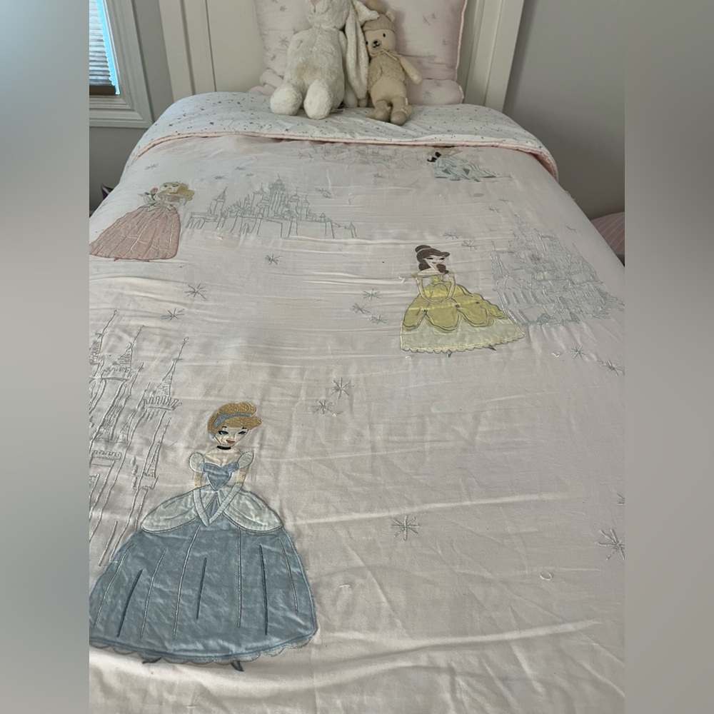 Pottery Bark kids princess comforter and sham
